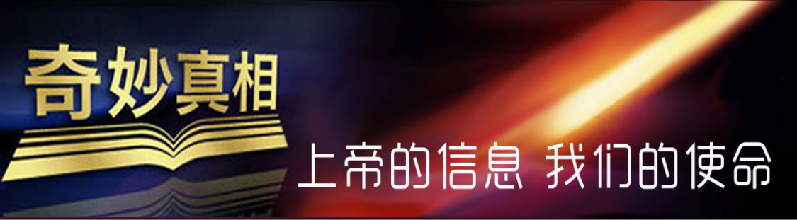 Alternate Text